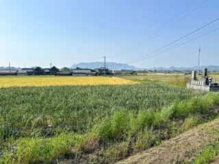 四国八十八ヶ所霊場 第66番札所 雲辺寺〜第67番札所 大興寺