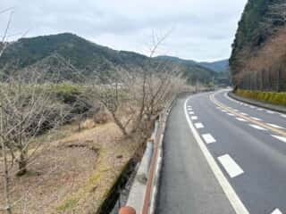 四国八十八ヶ所霊場 第36番札所 青龍寺～第37番札所 岩本寺
