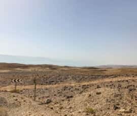 masada