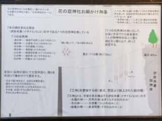 花の窟神社お綱かけ神事