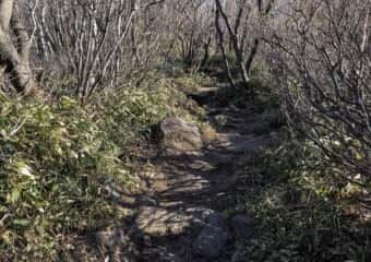 黒檜山の登山道