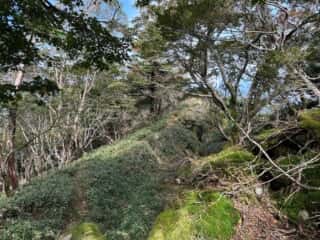 矢筈山・石堂山