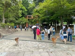 東大寺