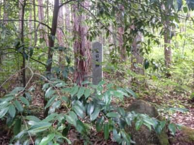 真名井神社
