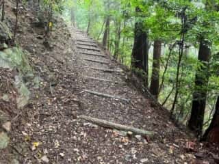 四国八十八ヶ所霊場 第11番札所 藤井寺〜第12番札所 焼山寺