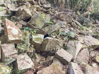 竹ケ島の石切場 入口の石積み