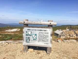 旭岳登山道