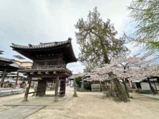 四国八十八ヶ所霊場 第53番札所 円明寺