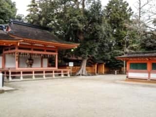 香椎宮　境内