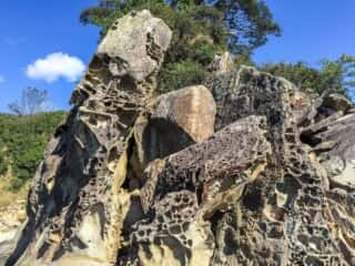 竜串海岸の奇石