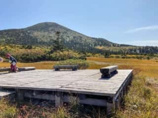八甲田山 登山道