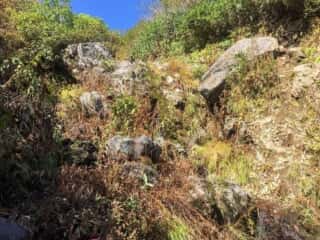 岩木山登山道