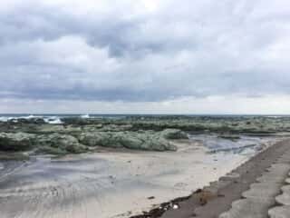 千畳敷海岸の光景