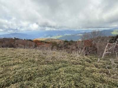 土佐矢筈山・小桧曽山