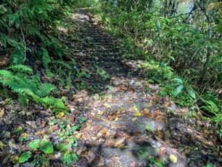 真山登山道