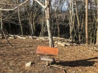 石投山 黒森山 登山道