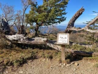 剣山登山道 刀掛の松