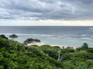 徳之島 金見崎ソテツトンネル