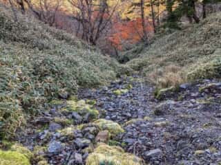 剣山・次郎笈 登山道