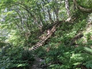 大山登山道