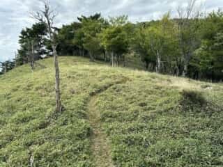 赤帽子山・中尾山