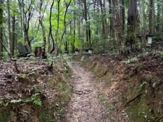 四国八十八ヶ所霊場 第11番札所 藤井寺〜第12番札所 焼山寺