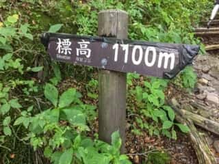 大山登山道