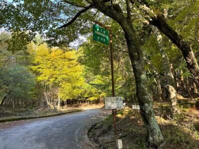 杖立峠