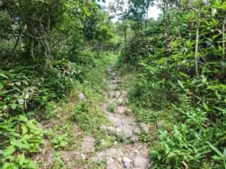摩周岳登山道