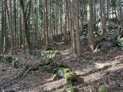 黒笠山