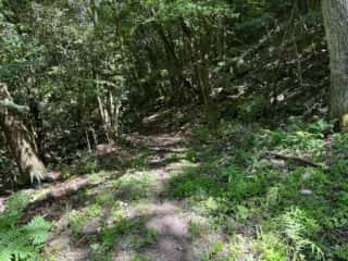四国八十八ヶ所霊場 第88番札所 大窪寺〜第1番札所 霊山寺