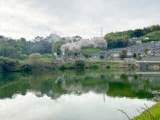 四国八十八ヶ所霊場 第51番札所 石手寺〜第52番札所 太山寺