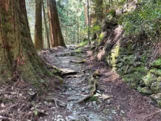 四国八十八ヶ所霊場 第44番札所 大寶寺