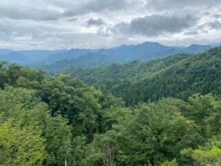 一年峰山道からの景色