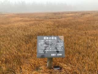 八幡平登山道