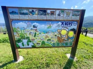 奄美大島 トゥルス岩