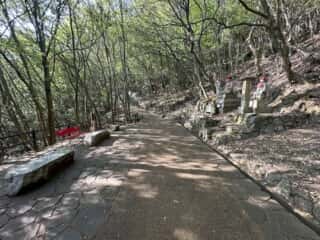 四国八十八ヶ所霊場 第83番札所 一宮寺〜第84番札所 屋島寺