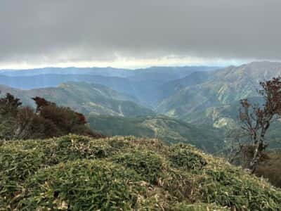 土佐矢筈山・小桧曽山