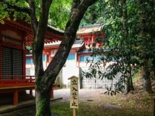 金刀比羅宮　白峰神社