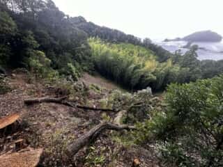 竹ケ島頂上整備工事