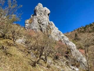 剣山登山道沿いの巨石