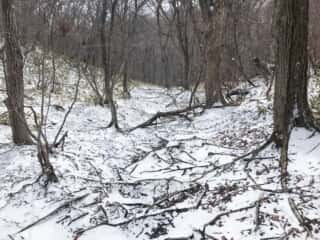 殺生石への雪道を歩く