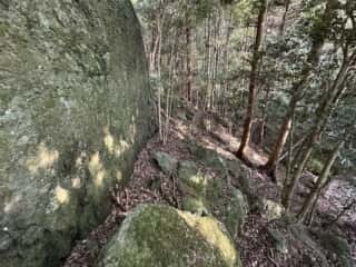 天岩戸立岩神社