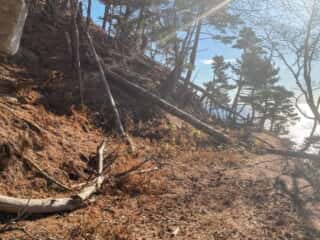 金華山周遊道倒木整備