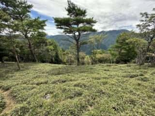 赤帽子山・中尾山
