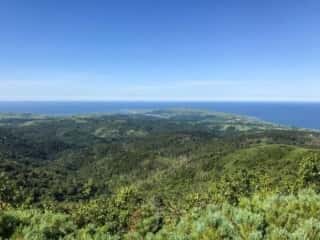 礼文岳登山道からの展望