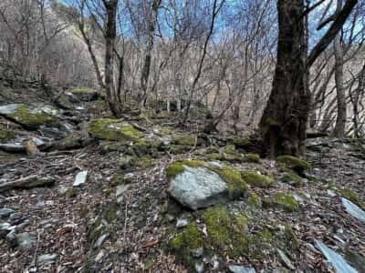 黒笠山