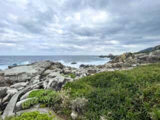 徳之島 ムシロ瀬