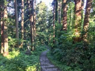 出羽三山神社 参道
