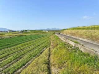 四国八十八ヶ所霊場 第66番札所 雲辺寺〜第67番札所 大興寺